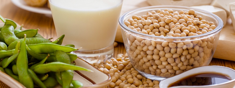 Soy Foods